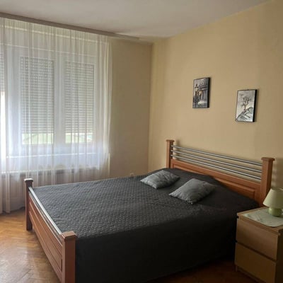 Rental of a comfortable 2-room apartment, 55 m², city center, Belgrade, Serbia